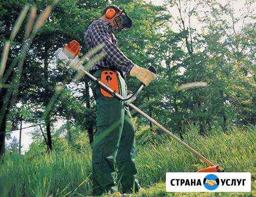 Покос травы Калининград