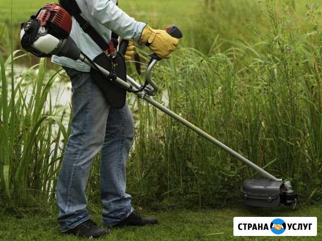 Покос травы Сарапул - изображение 1
