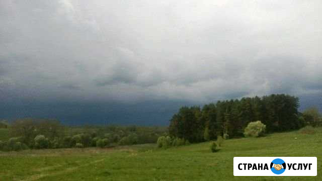 Покос травы Гаврилов-Ям - изображение 1