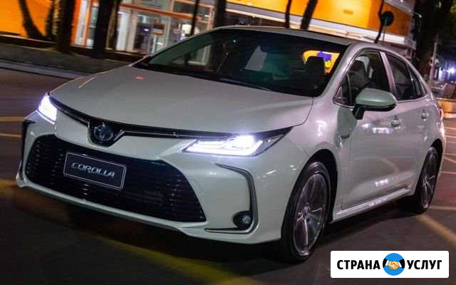 Аренда авто с правом выкупа toyota Corolla 2020 Чебоксары - изображение 1