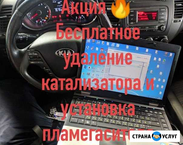 Бесплатное удаление катализатора (Kia, Hyundai) Казань - изображение 1