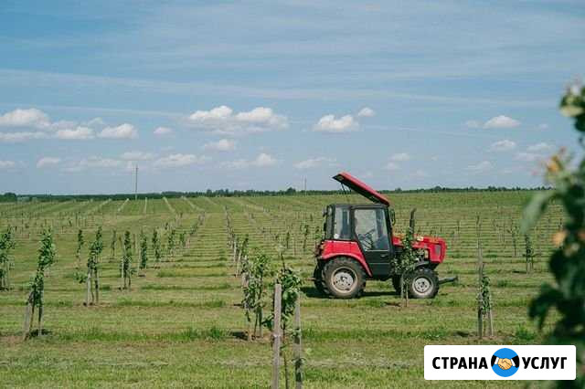 Фотограф Санкт-Петербург - изображение 1