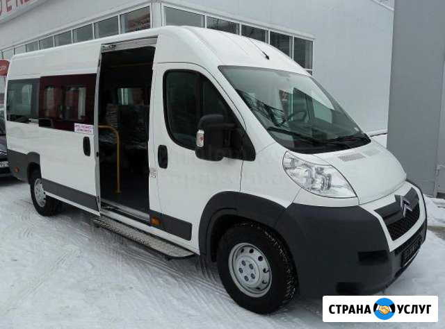 Лицензированные пассажирские перевозки автобусами Лиски - изображение 1