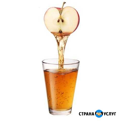 Отжим сока из яблок и груш Челябинск - изображение 1