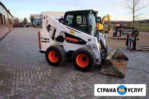 Аренда Bobcat бапкет бабкет Саратов