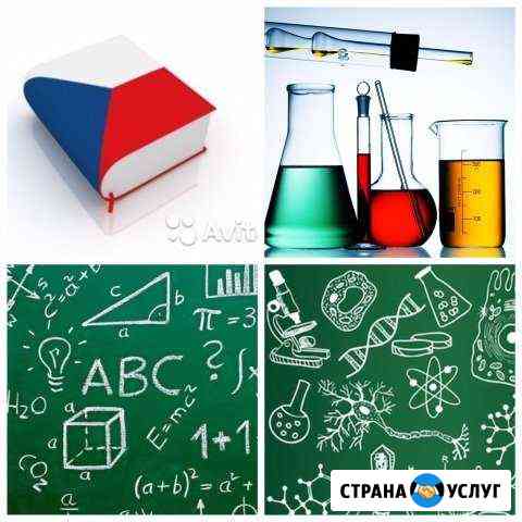 Репетитор по биологии, химии, чешскому языку Калининград