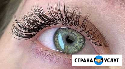 Обучение ламинированию ресниц, оформлению бровей Нижний Новгород - изображение 1