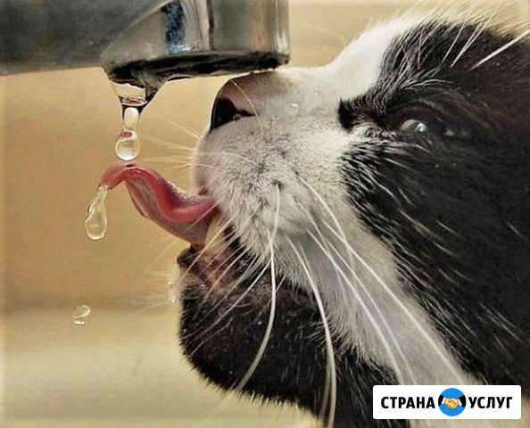 Водоснабжение и канализация под ключ. Сантехника Тамбов - изображение 1