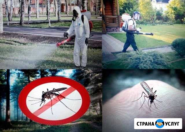 Обработка Комаров от насекомых и вредителей Барнаул - изображение 1