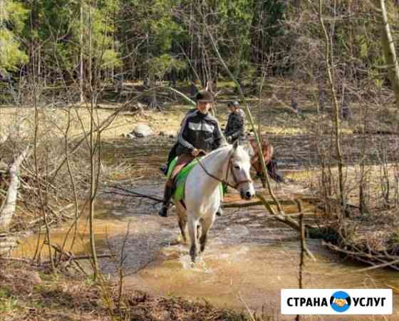 Конные экспедиции Петрозаводск