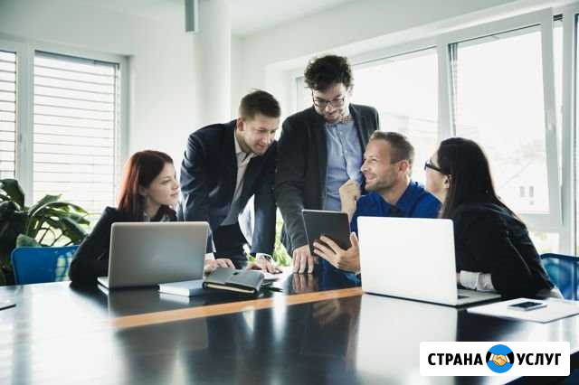 Создание сайтов под ключ Кинешма - изображение 1