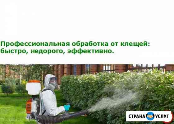 Обработка участков от клещей, комаров, мух Курск