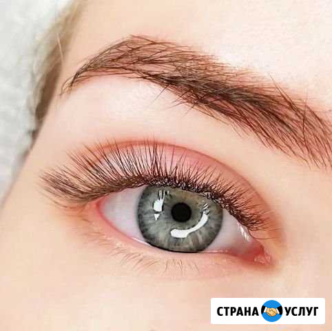 Обучение наращивание / ламинирование бровей Тверь - изображение 1
