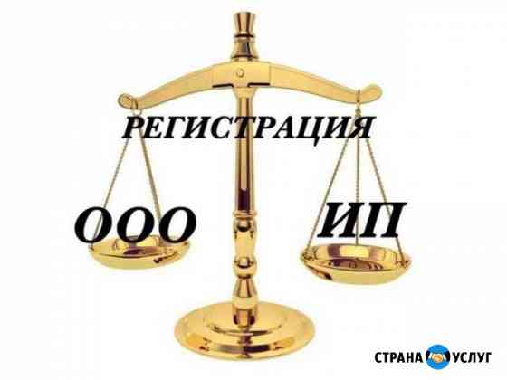 Регистрация ооо и ип Тверь