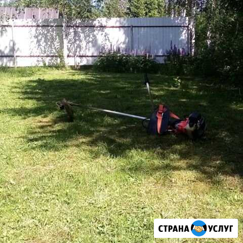 Покос травы Сертолово - изображение 1