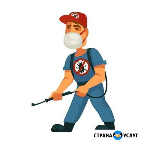 Тараканов клопов квартире уничтожить. Честная цена Ярославль - изображение 1