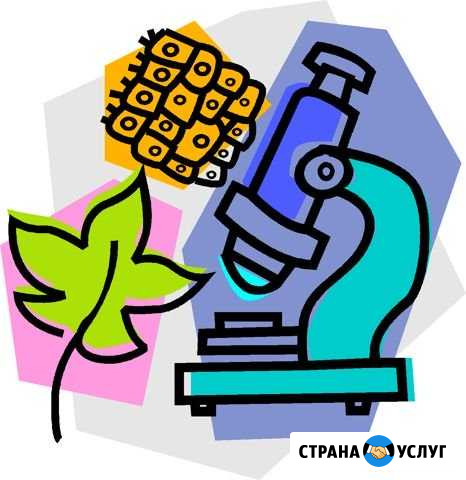 Репетитор Сургут - изображение 1