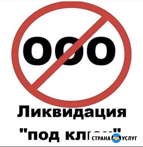 Ликвидация ооо Чистополь - изображение 1