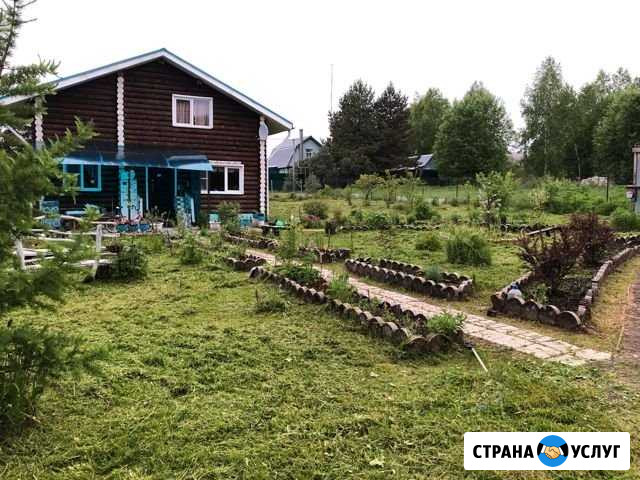 Покос травы, вывоз мусора, сборка травы Бор - изображение 1