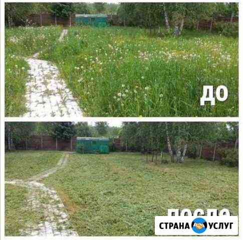 Покос травы, спил Калининград