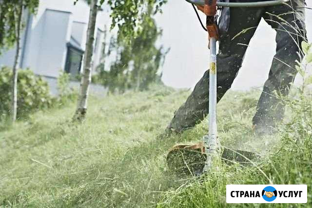 Пашка покос травы вывоз мусора уборка Ждановский - изображение 1