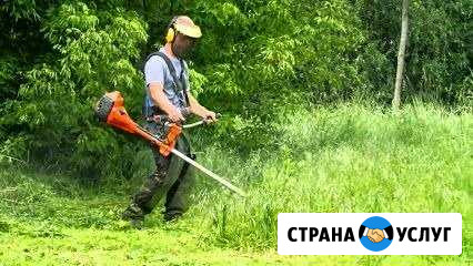Покос травы Ростов-на-Дону - изображение 1