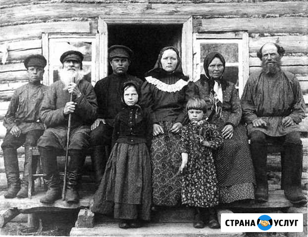 Поиск предков Электроизолятор - изображение 1