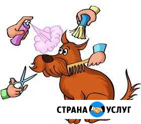 Стрижка собак и кошек Тольятти - изображение 1