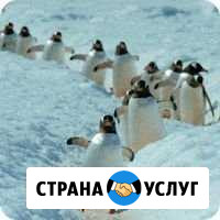 Узаконивание перепланировки помещений,квартир Тюмень - изображение 1