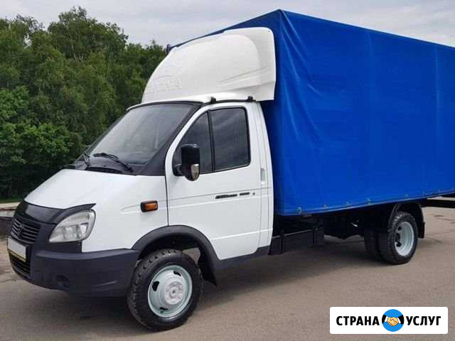 Вывоз мусора Волгодонск - изображение 1
