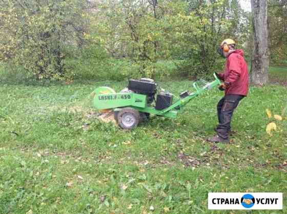 Удаление(дробление) пней Санкт-Петербург