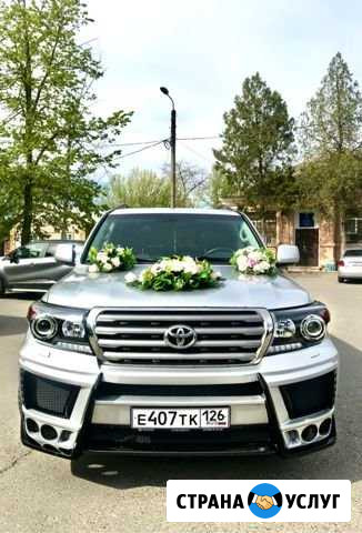 Прокат автомобиля Land Cruiser 200 Черкесск - изображение 1