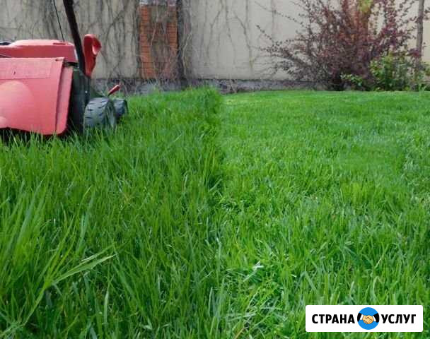 Уход за газоном Красноярск - изображение 1