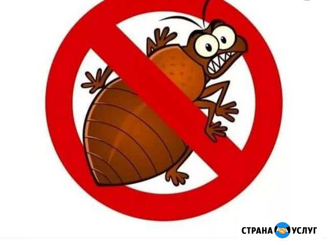 Уничтожение тараканов, клопов, грызунов Иркутск - изображение 1