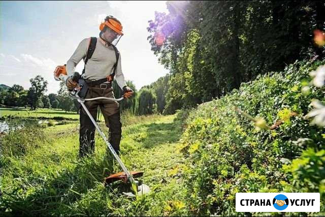 Покос травы стрижка газона Псков - изображение 1