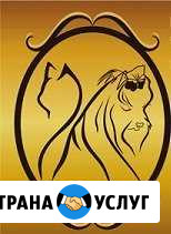 Стрижки животных Абакан - изображение 1