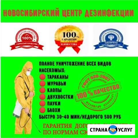Тараканы, клопы. уничтожение Новосибирск - изображение 1