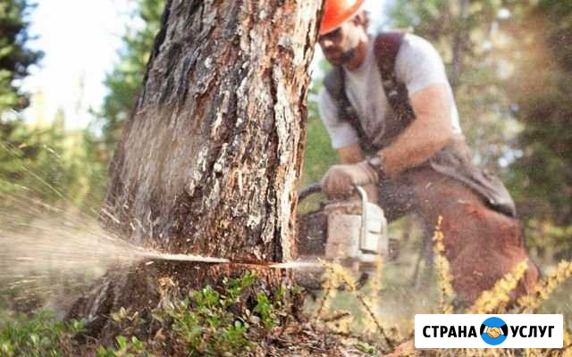 Бригада в лес вальщиков, лесозаготовка, лэп Киров - изображение 1