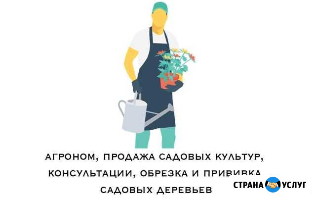 Услуги профессионального агронома, консультации Оренбург - изображение 1