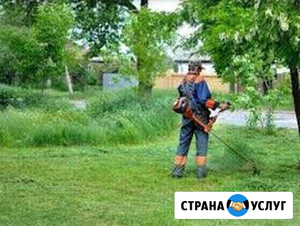 Покос травы Воткинск - изображение 1