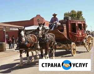 Курьерская доставка по Краю и Адыгея. Ежедневно Краснодар - изображение 1