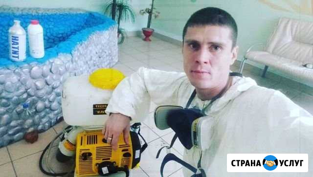 Уничтожение тараканов и клопов Чапаевск - изображение 1