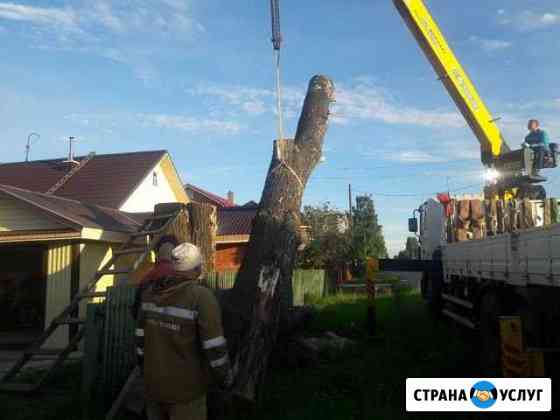 Спил деревьев, кронирование Соликамск