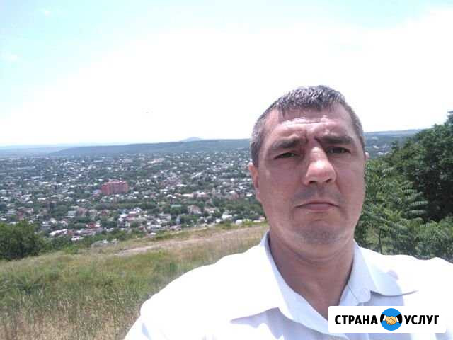 Демонтаж.спил копка. И тд Таганрог - изображение 1