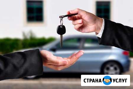 Автоподбор, помощь при покупке автомобиля Череповец - изображение 1