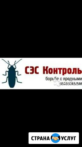 Дезинфекция Березники - изображение 1