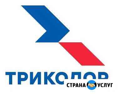 Триколор тв Курск
