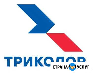 Триколор тв Курск - изображение 1