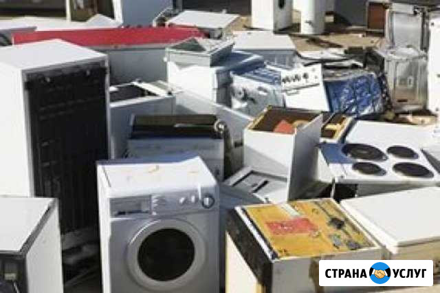 Газель утилизация Вывоз вынос мусора Димитровград - изображение 1