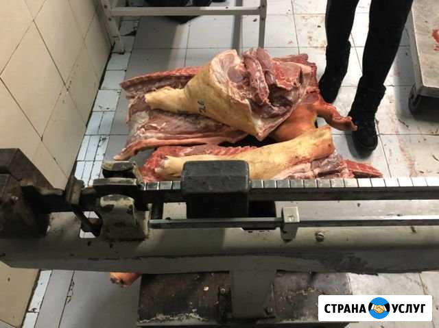 Свинина Балаково - изображение 1